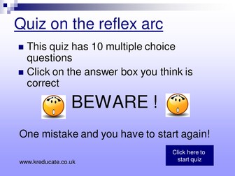 Reflex arc quiz