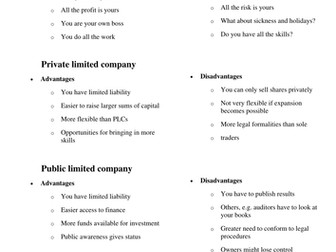 Advantages and Disadvatages of Business Type