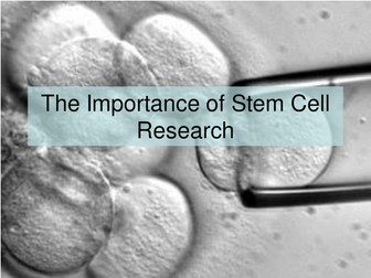 Stem Cells