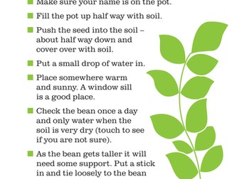 Barnardo's Big Bean Challenge