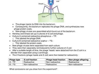 Experimental Evidence for DNA