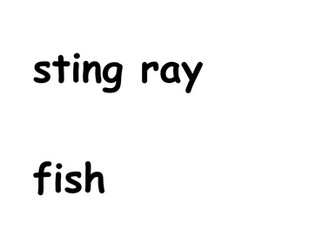 Sealife words & Pictures