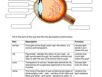OCR gateway B1d1 - The eye