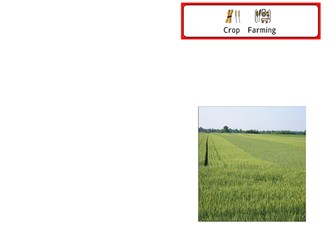 Crop farming book- Wigit