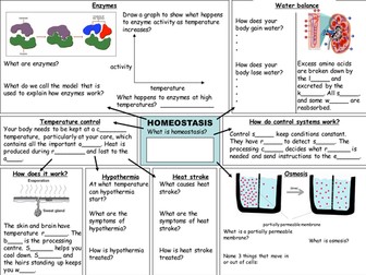 21st century B4 C4 P4 Revision worksheets