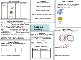 B2 Keeping Healthy revision worksheet