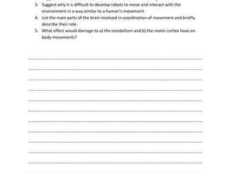 How the brain controls our movements