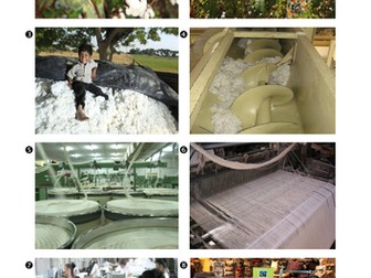 Investigating cotton - Ages 11+