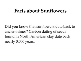 Facts about Sunflowers- Food & Farming