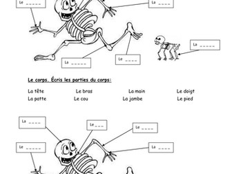 body parts metro 2 vert