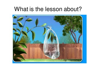 Transpiration and absorption