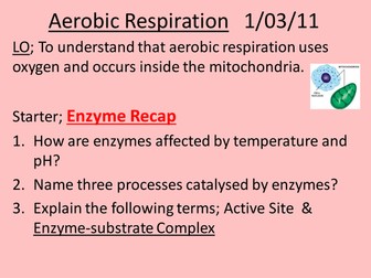 Aerobic Respiration PP