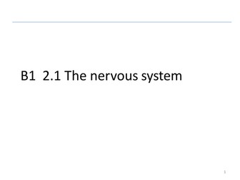B1 2.1 the nervous system
