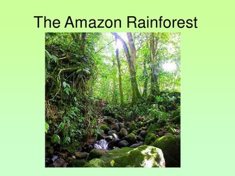 Amazon Rainforest
