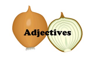 Parts of a sentence display