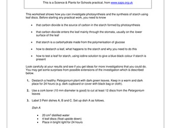 SAPS - Can Leaf Discs Make Starch in the Dark?