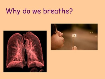 Lungs and Breathing