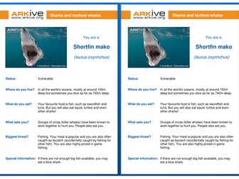 Dinner at the Reef - Food Chains