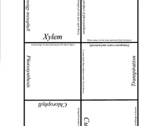 Card sort puzzle on Photosynthesis