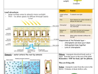 Science revision guides