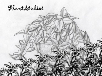 Plant Studies
