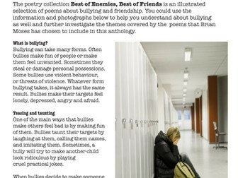 Bullying and Friendship