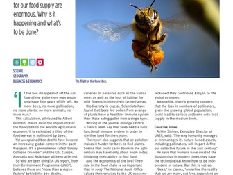 The plight of the bumblebee