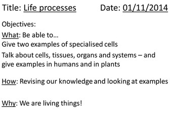 Specialised cells powerpoint and worksheet