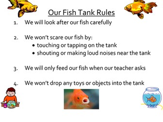 Fish Tank Rules