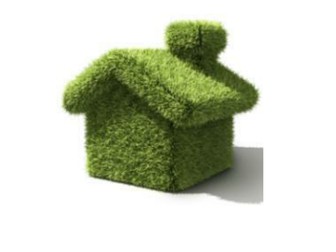 Guess the ecological word PPT game