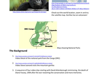 Conservation- gorilla study sheet & essay