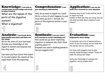 Digestion and Enzymes