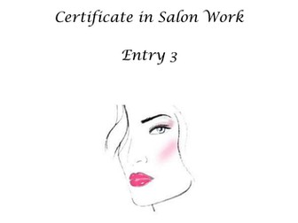 Certificate in Salon Work