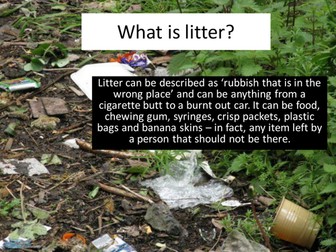 Litter Assembly