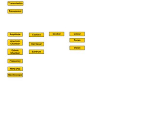 Light and Sound Concept Map