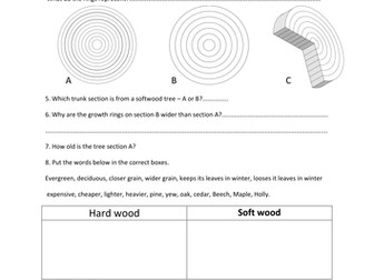 End of lesson test explaining woods