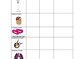 Body systems worksheet