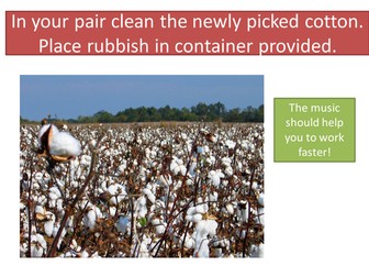 Life in a cotton plantation