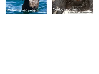 ARKive Geographic - Exploring Global Biodiversity