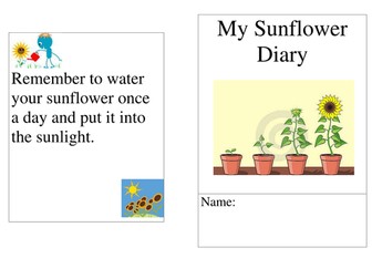 Sunflower Diary