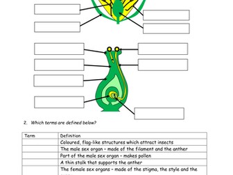 Reproduction in Plants