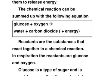 An Active Lesson on Respiration