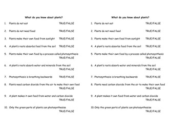 Who Discovered Photosynthesis?