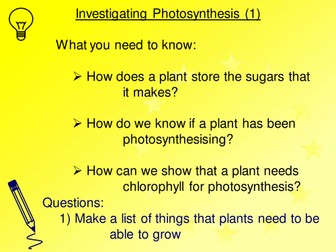Investigating Photosynthesis