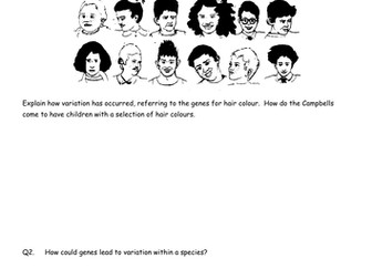 BTEC Applied Science: Harry Potter Genetics