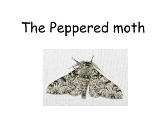 BTEC Applied Science: The Peppered Moth