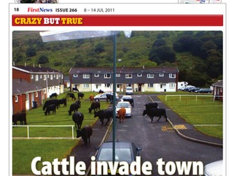 Look Closer Comprehension Issue 266 First News