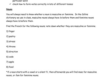Using a French dictionary