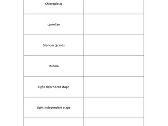 F214 Structure & Function of Chloroplasts Glossary