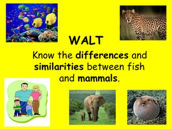 Mammals and Fish